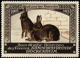 10 Jahre Kaninchen-Verein