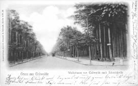 Eichwalde-Waldstraße