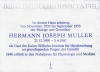 Gedenktafel Hermann Joseph Muller.JPG