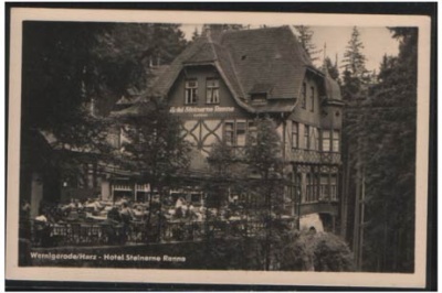 Wernigerode Hotel Steinerne Renne