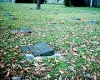 Opfergrabanlage-Friedhof-Blankenburg.jpg