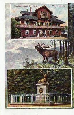 Thale im Harz Försterei Dambachhaus , Wild-Tiere ca 1925