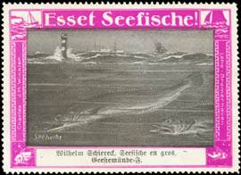 Seehecht - Esset Seefische!