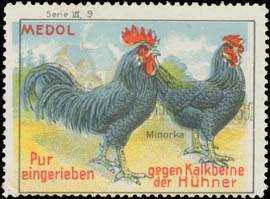 Minorka - Medol gegen Kalkbeine der Hühner