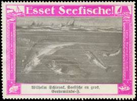 Schellfisch - Esset Seefische!