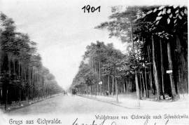 Eichwalde-Waldstraße