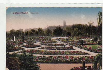 Sangerhausen Rosarium 1926