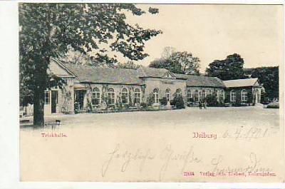 Bad Driburg Trinkhalle 1901