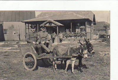 Esel-Karren Militär 1.WK ca 1915