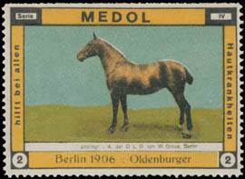 Oldenburger Pferd