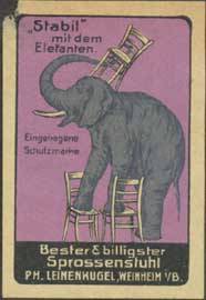 Stabil-Stuhl mit dem Elefant