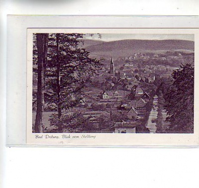 Bad Driburg vom Stellberg ca 1960