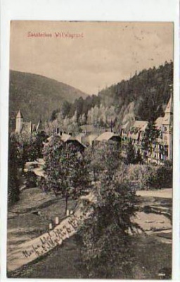 Wölfelsgrund Grafschaft Glatz Schlesien 1913