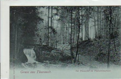 Tharandt bei Dresden Thalmühlengrund Mondschein AK ca 1900