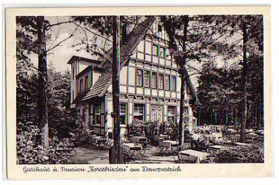 Detmold Gasthaus,Pension Forstfrieden am Donoperteich