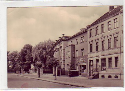 Magdeburg - Olvenstedt Linden Apotheke 1960