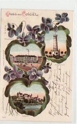 Colditz Litho Ansichtskarte von 1902