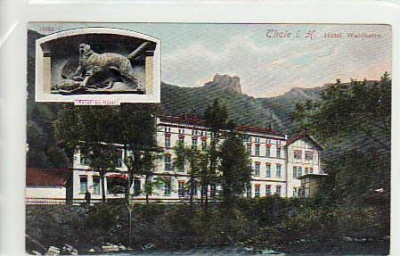 Thale im Harz Hotel Waldkater 1910