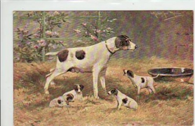 Hunde Künstlerkarte 1916