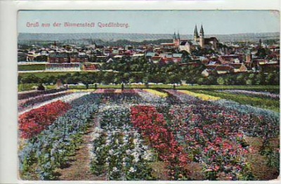 Quedlinburg Harz Blumen 1916