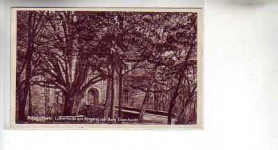 Belzig Burg Eisenhardt Lutherlinde ca 1930