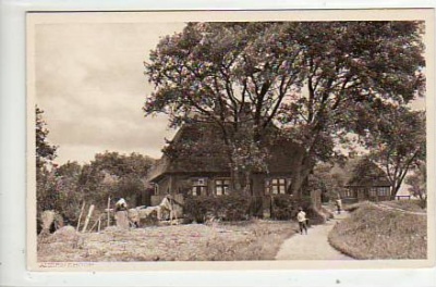 Ostseebad Ahrenshoop Darss ca 1925