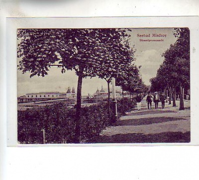 Ostseebad Misdroy Promenade ca 1910  Pommern