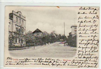 Colditz Albertstraße 1904