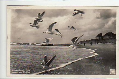 Westerland auf Insel Sylt Möven am Strand ca 1930