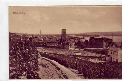 Rüdesheim im Rheingau , Wein ca 1915